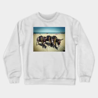 Donkeys Crewneck Sweatshirt